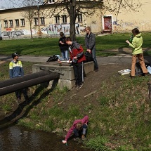 Several students take water samples near a stream.