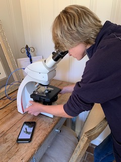 SEES Mosquito Habitat Mapper intern Parker L.,