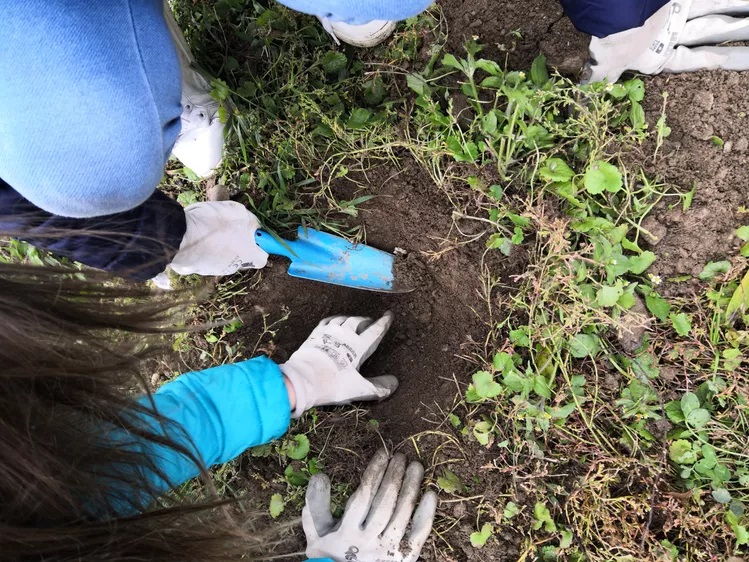 GLOBE student in the Czech Republic participating in the Autumn climate Challenge