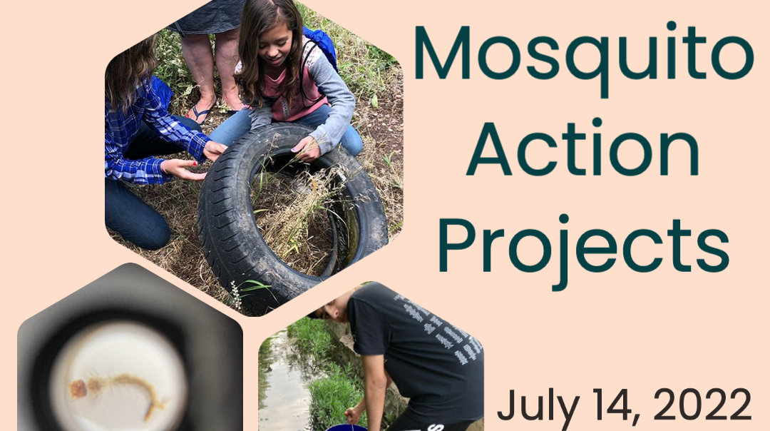 14 July: GLOBE Mission Mosquito Webinar:  “Mosquito Action Project”