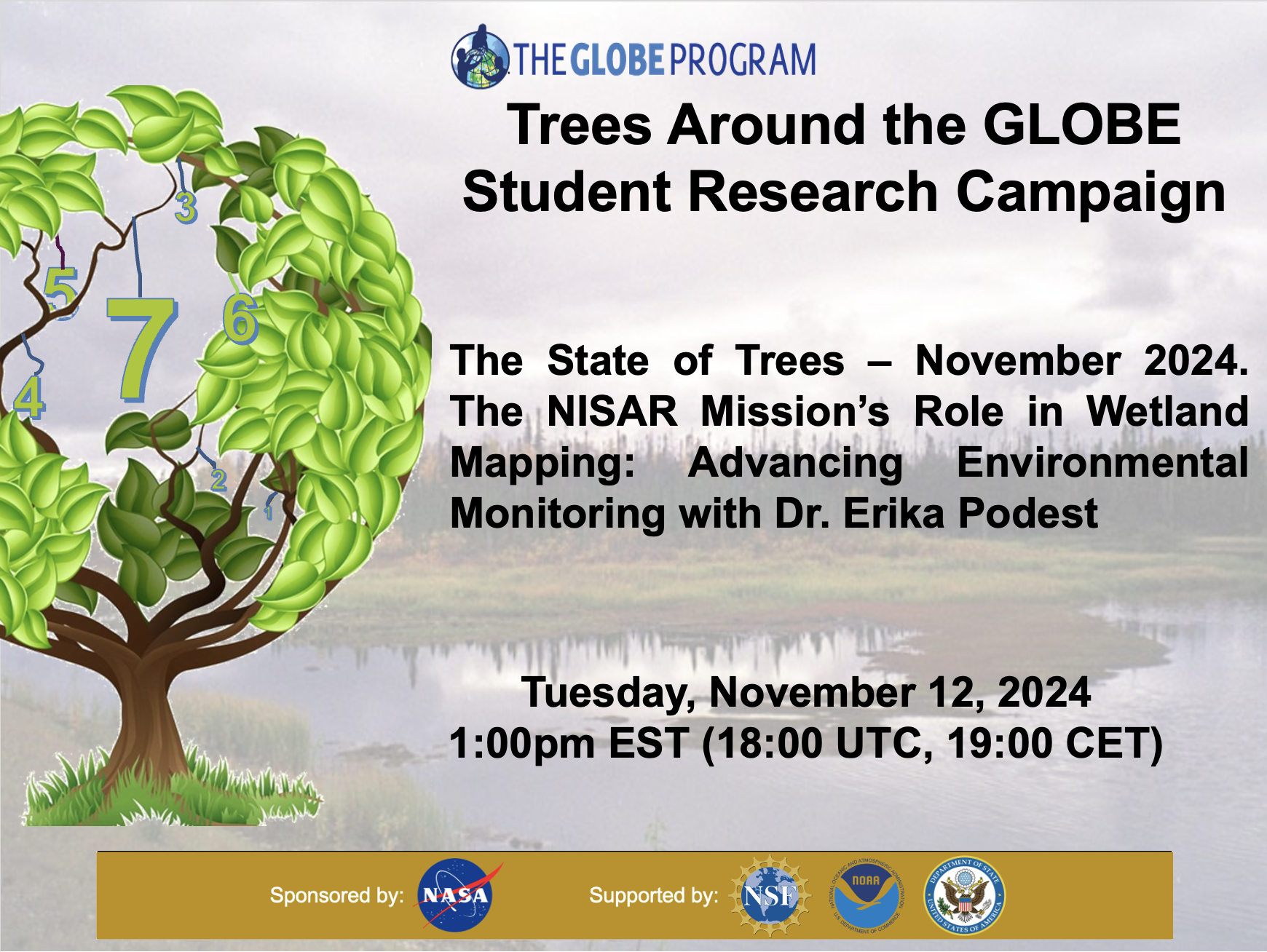 cover image for Trees November 2024 webinar