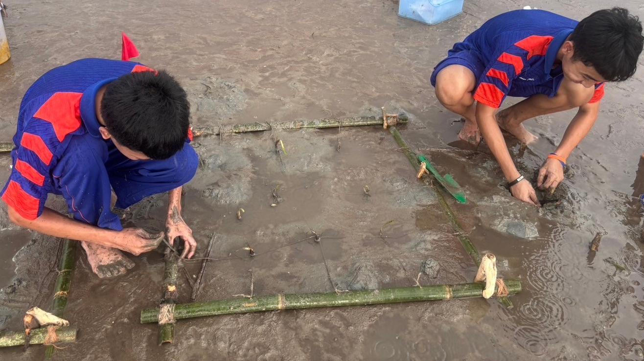 This image shows an experiment on seagrass planting using a bamboo quadrat to define the planting area on coastal mudflats. Two researchers are planting young seagrass shoots within the frame as part of the development of a new technique to enhance the survival rate and growth of seagrass in natural environments.