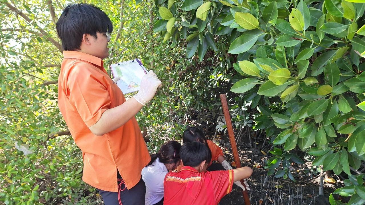 Measuring the NPK concentration of the soil in Samet, Chonburi, Thailand.