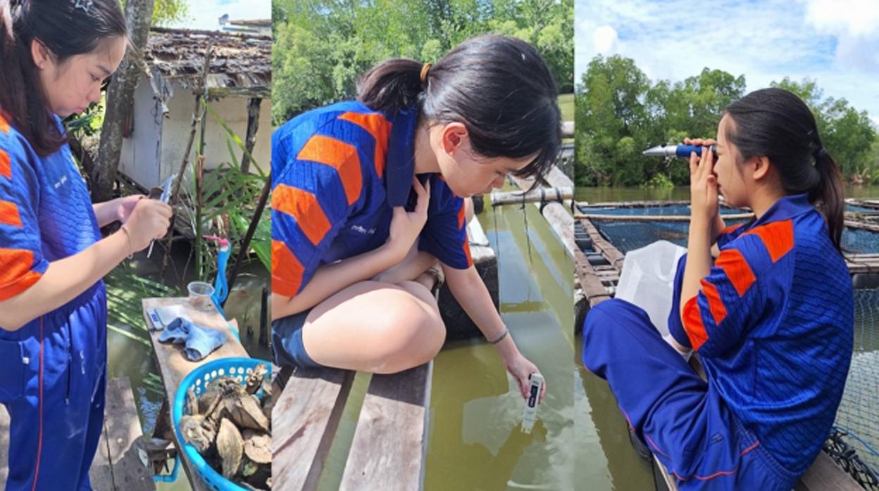 Shows measurements of water quality and growth of oysters.