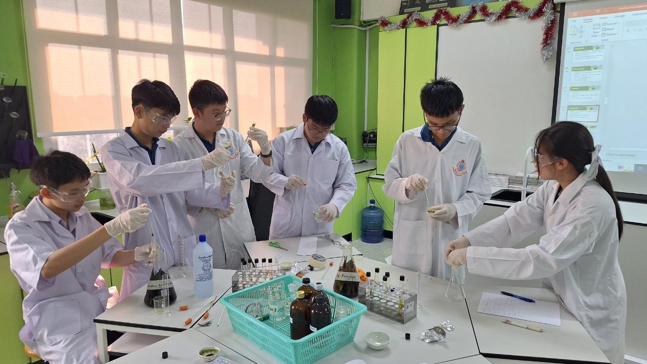 Testing of the biochemical properties of selected mangrove plants.