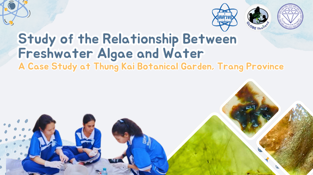 Title: Study of the Relationship Between Freshwater Algae and Water A Case Study at Thung Kai Botanical Garden, Trang Province 	.Bold text in blue and orange to stand out and relate to water exploration. Image Elements: A photograph of three female students in sports uniforms conducting an experiment or collecting water samples. A magnified image of freshwater algae, placed inside a white-bordered square.