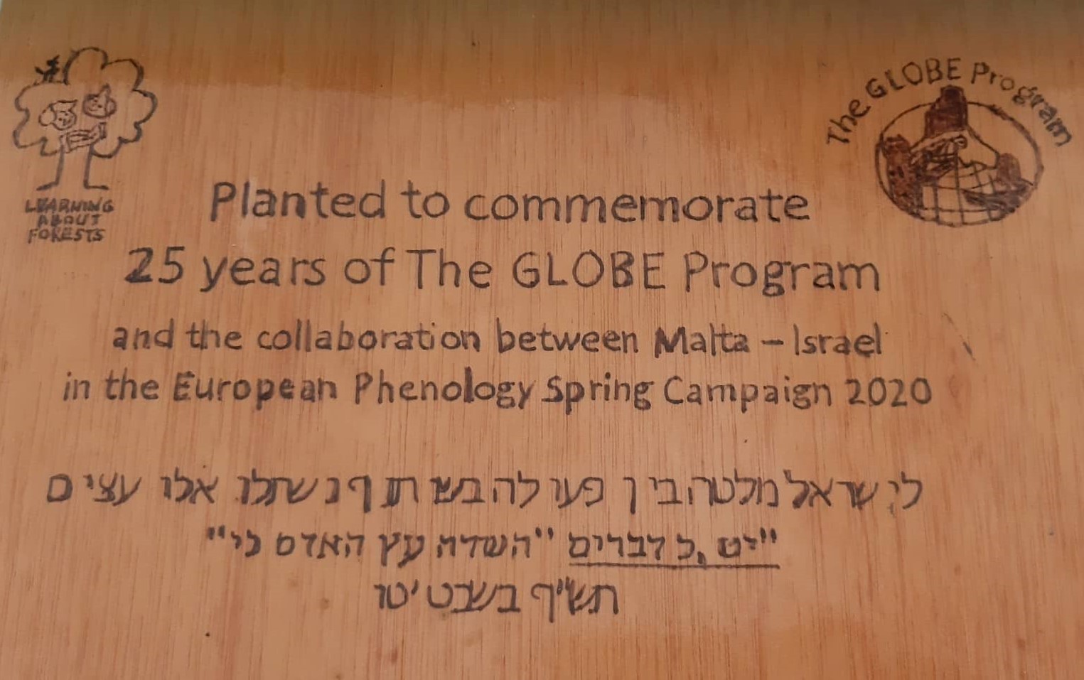 Plaque placed next to the planted tree in all four collaborating schools to commemorate the new international friendships and project. 