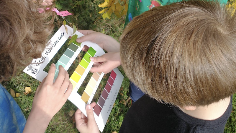 Students hold a tree leaf next to a GLOBE Plant Color Guide to observe color changes with the GLOBE green-down protocol.