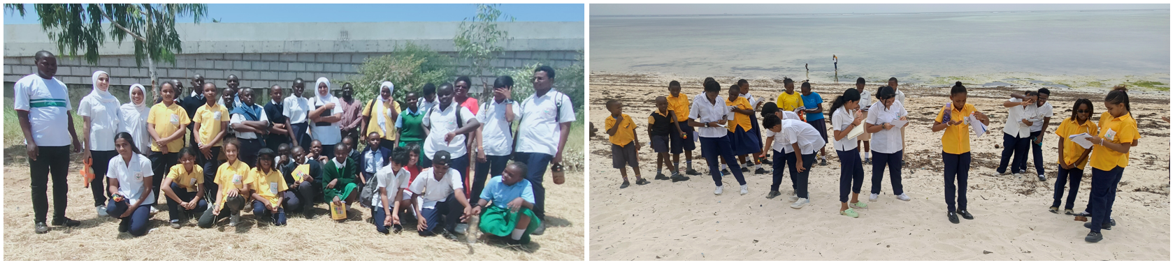 Class posing for group photo and kids taking surface temperature measurements at the beach.