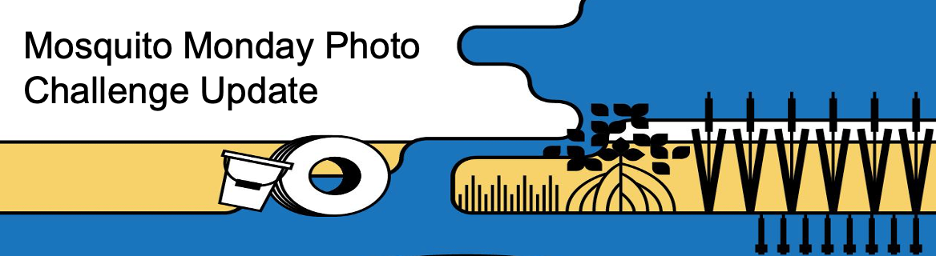 Photo Challenge shareable with a roll of film in the background, that reads "Mosquito Monday Photo Challenge Update"