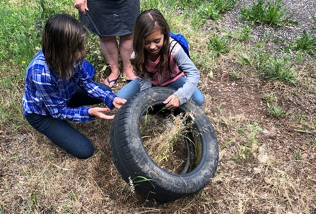 Dumping out rainwater collected in a discarded tire. (Photo Credit: Russanne Low)