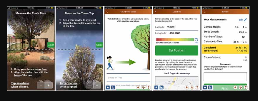 On-screen instructions guide citizen scientists to record the angle to the base and crown of the tree, estimate the distance to the tree, and record its location in GO Trees.