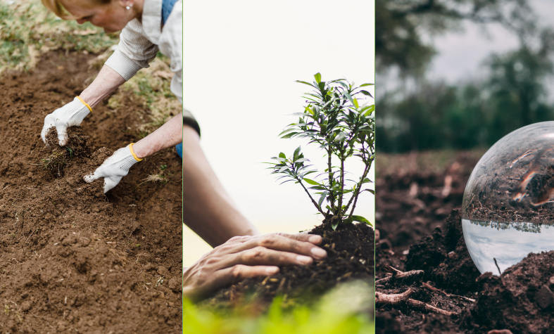 Three photos showing people working in soil