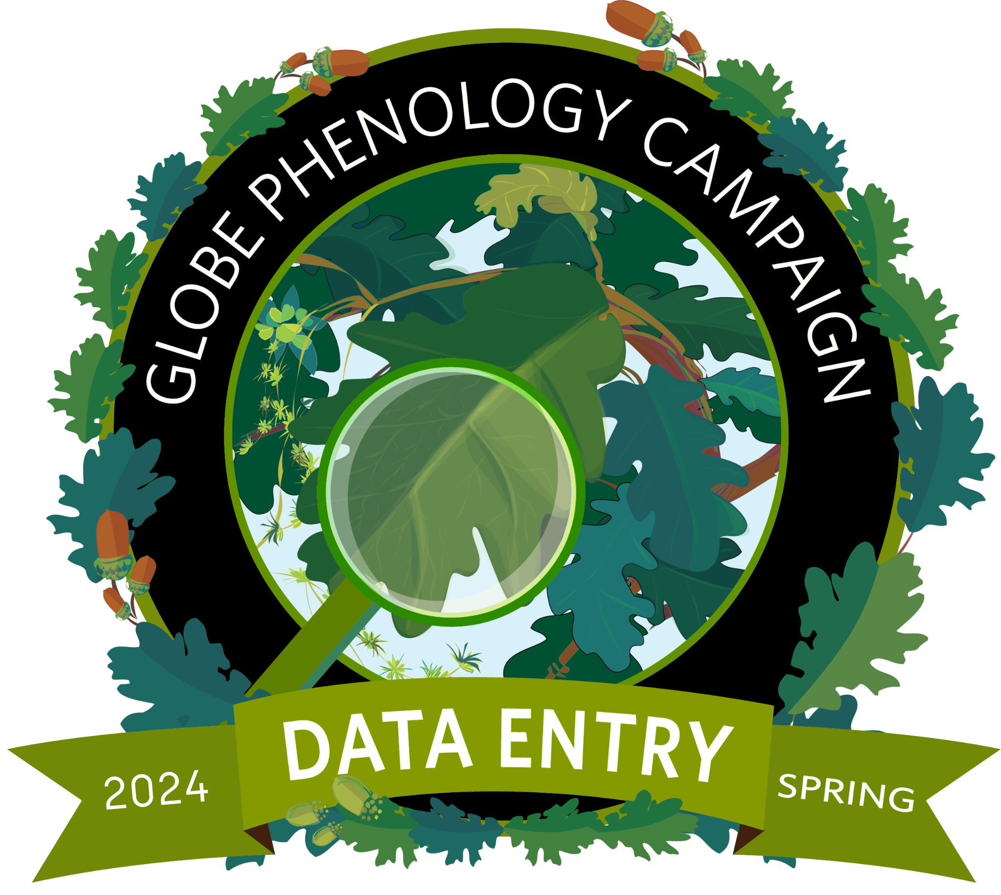 Phenology Campaign data entry badge 2024