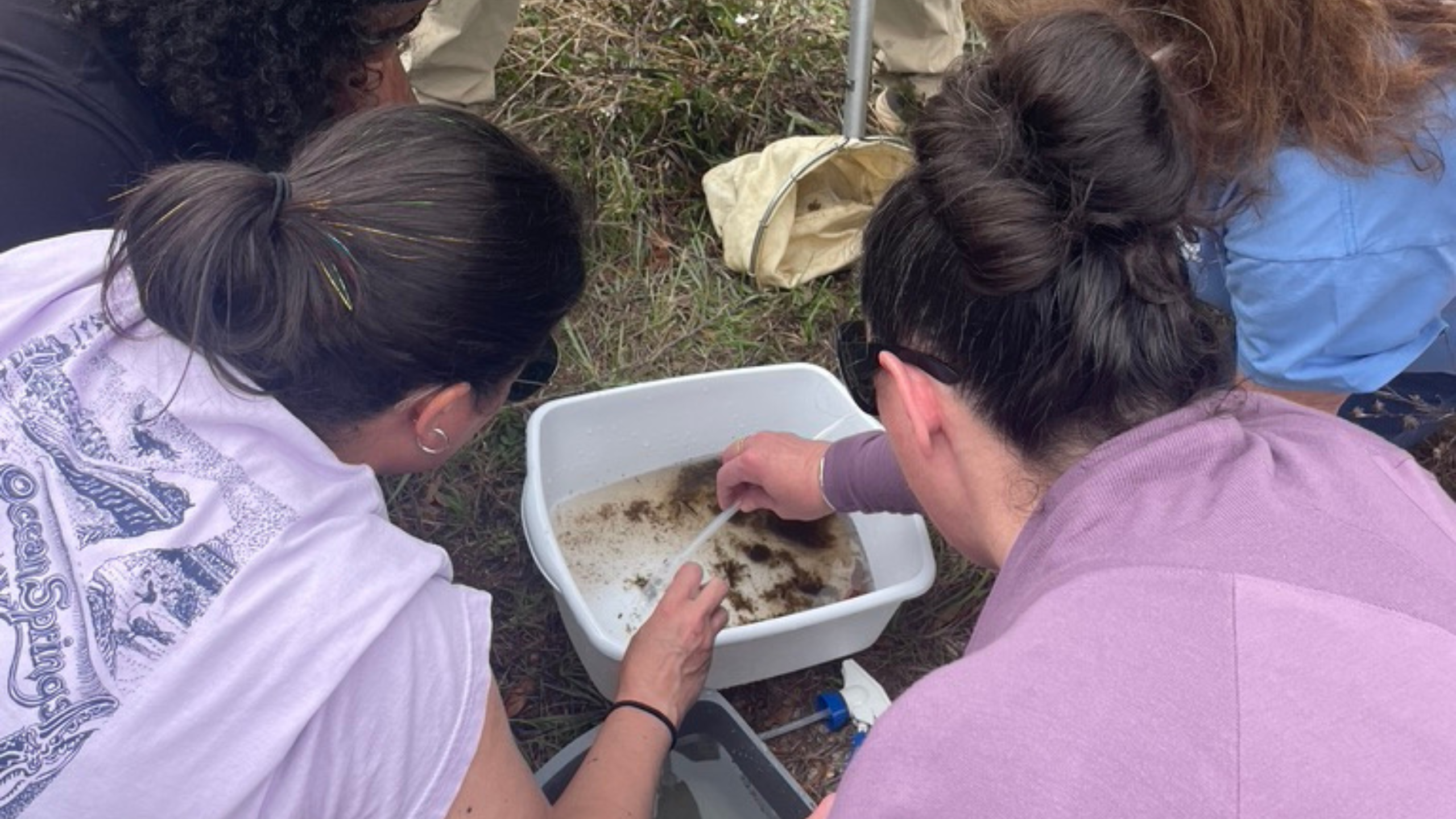 Educators use tools to find macroinvertebrates in a bucket with water from a nearby waterbody