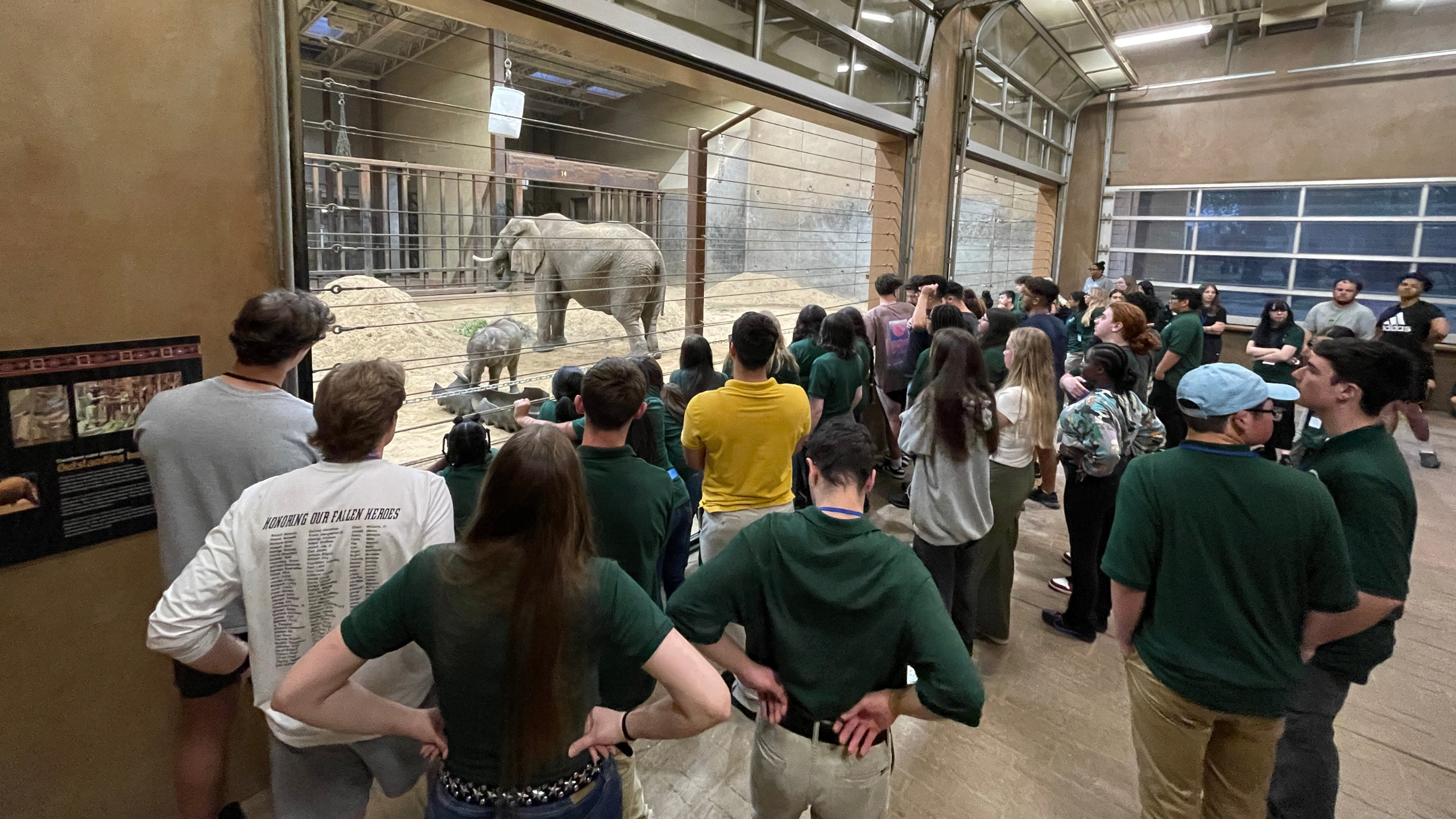 Participants at the Midwest Student Research Symposium get a behind-the-scenes look at elephants at the Toledo Zoo and Aquarium