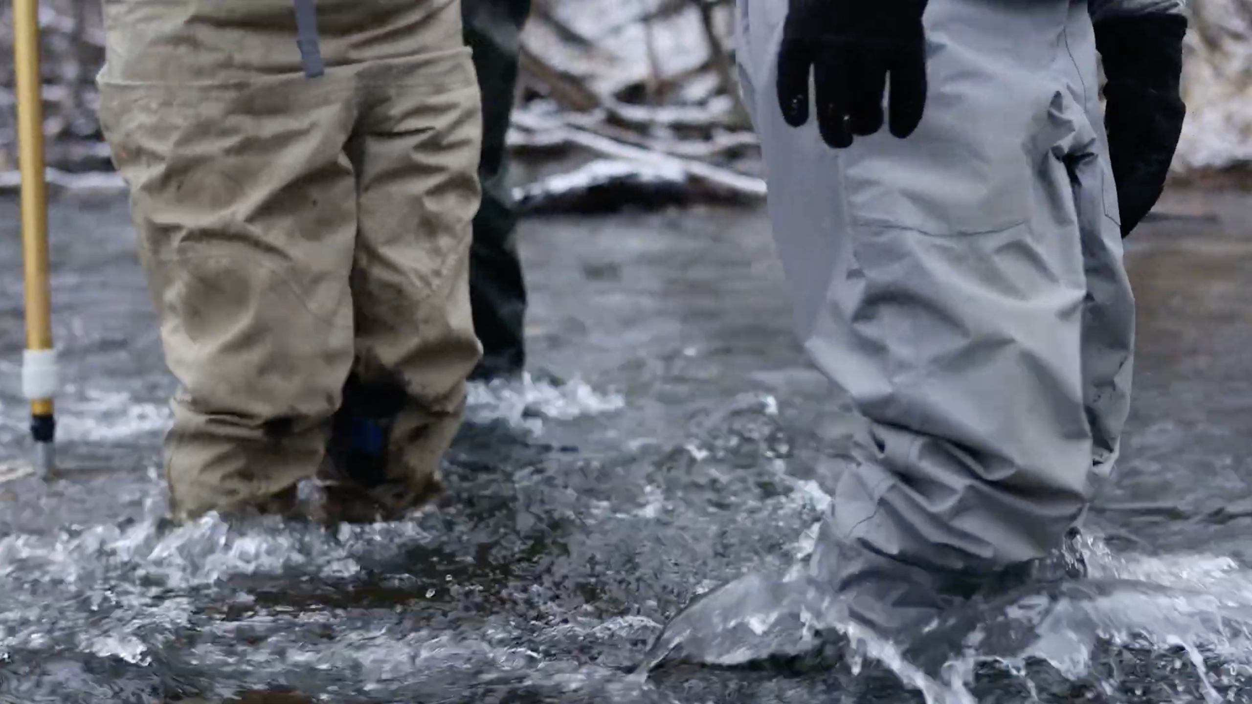 students stand in a river in waders to collect water samples
