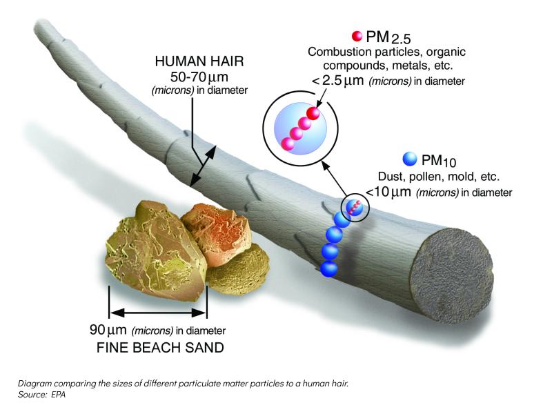 Size of human hair compared with particulate matter of different sizes. Fine beach sand has a larger diameter than a hair. Five PM10 particles could fit across a hair, and 20 PM2.5 particles could fit across a hair.