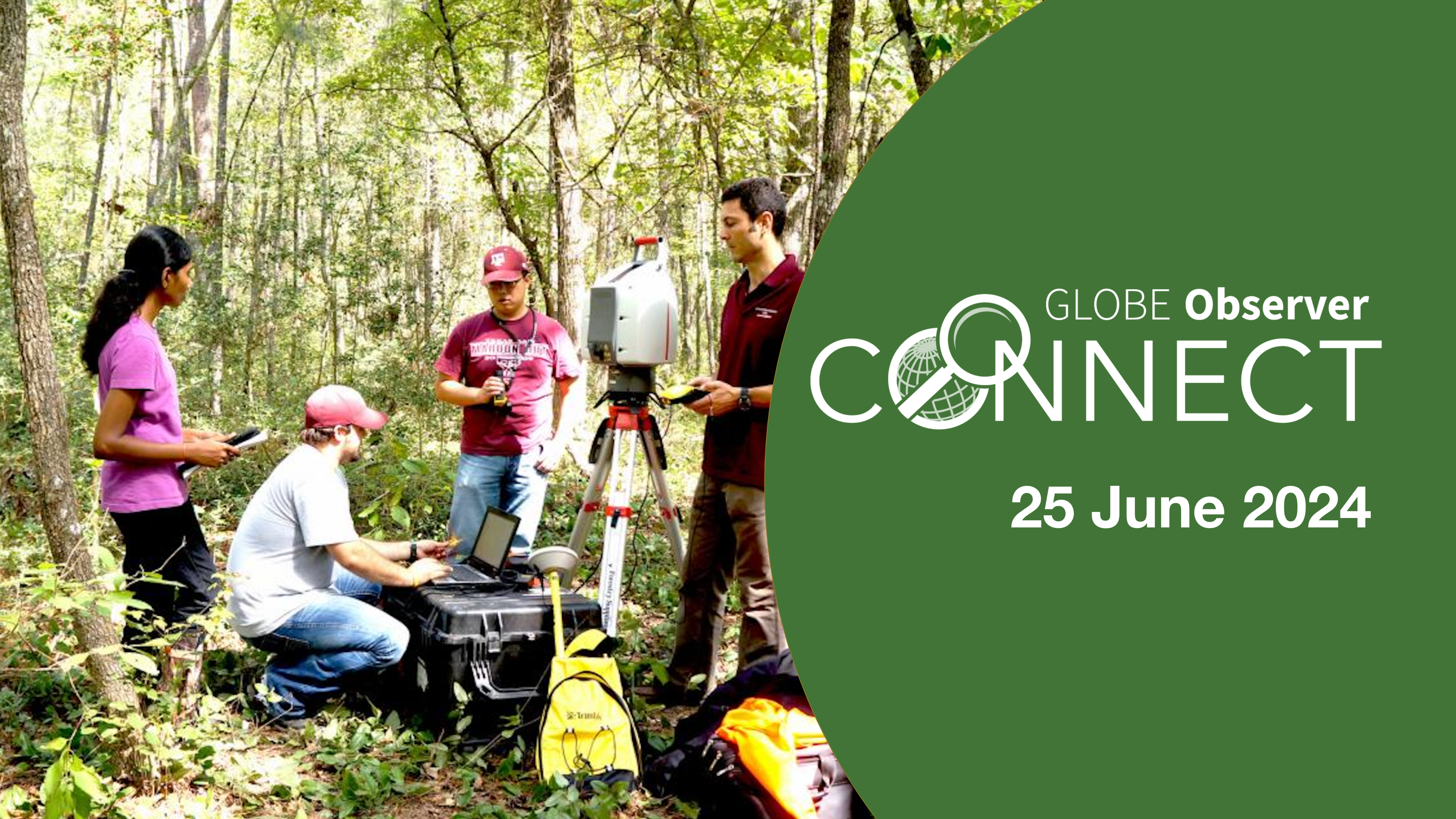 A group of three students and a professor stand around a large carrying case and an instrument on a tripod. One student is typing on a laptop that is on top of the case. The group is in a forest. 