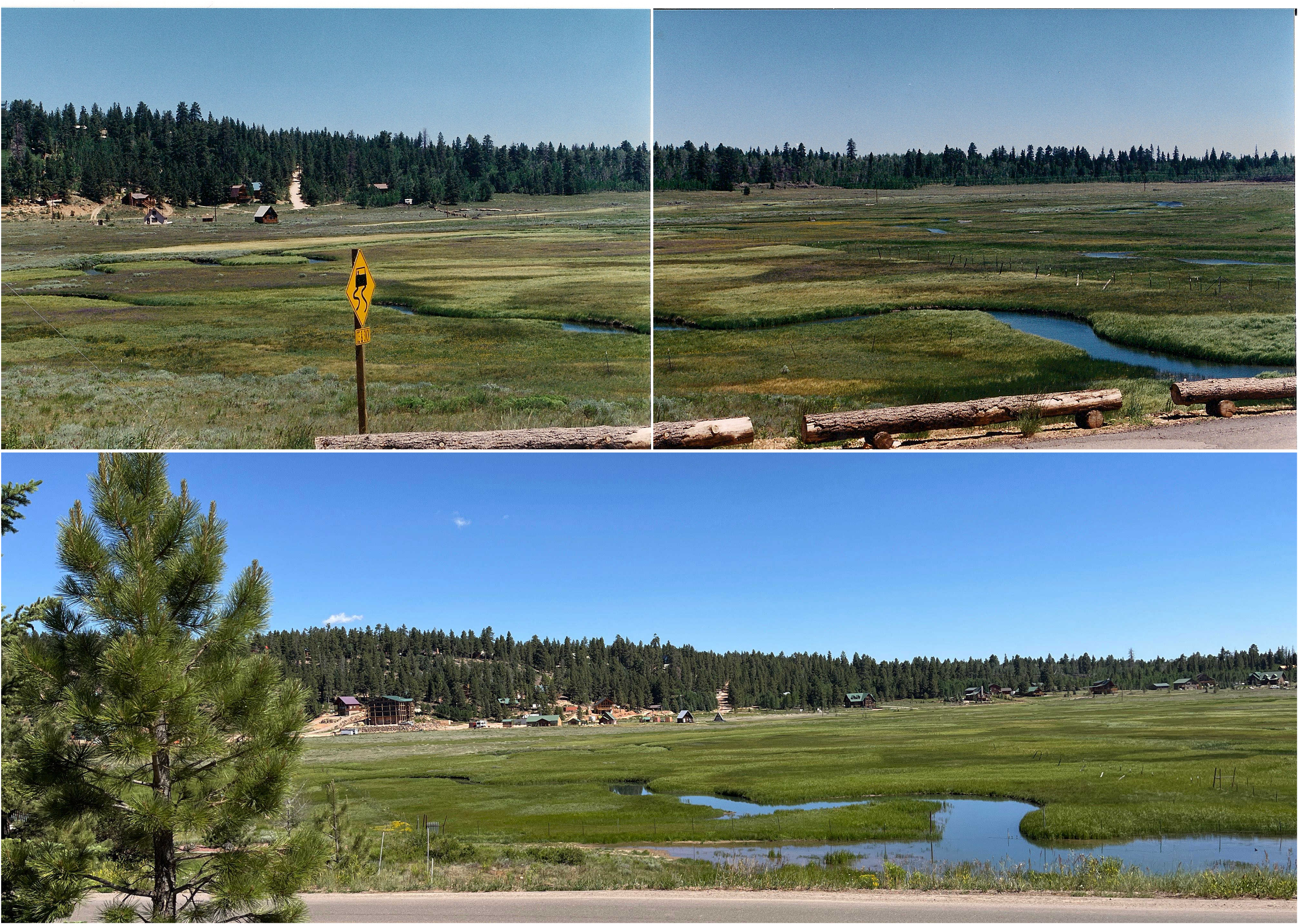 Three photos of a grassy meadow with a forested hill in the background. The top two photos, both from 1997, put together show the same landscape as the bottom photo, which was taken in 2024. Three cabins are readily visible in the top photos. The lower photo shows many cabins in and among the trees on the hill. 