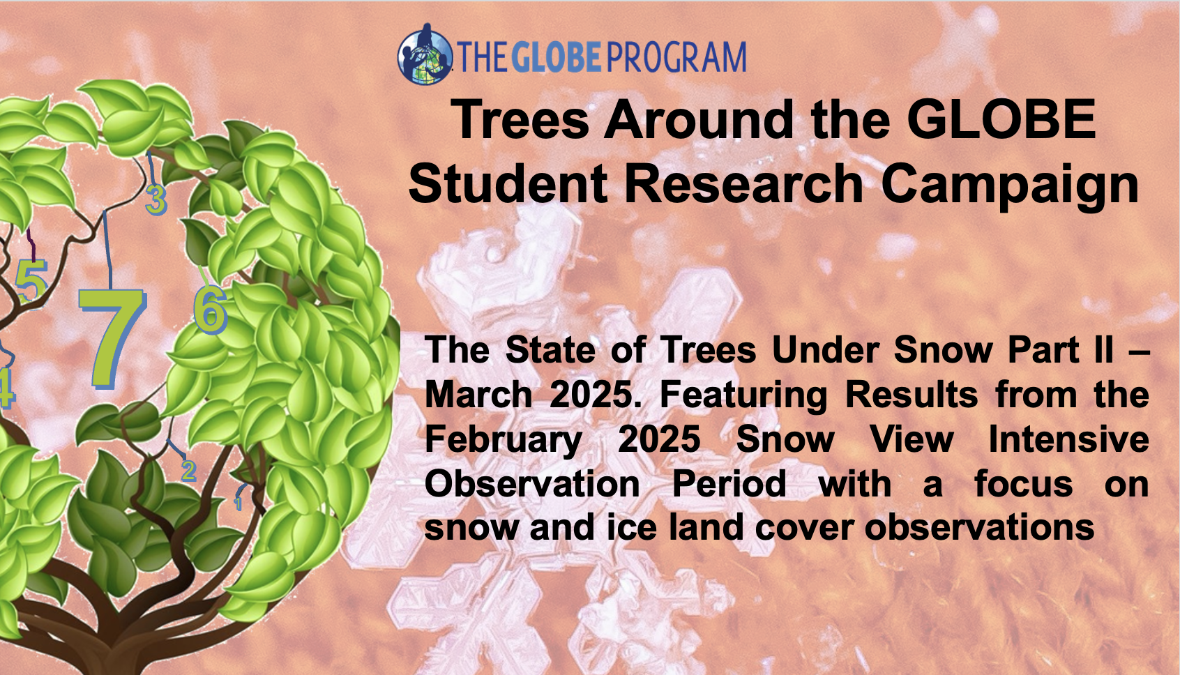 A tree with numbers representing the seven years of the campaign on the left, and a snowflake in the background. The text overlay gives a description of the webinar.