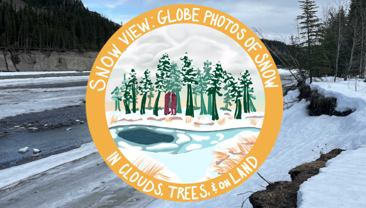 A winter scene of trees with snow and a mostly frozen pond, surrounded by a yellow circle with the text, 