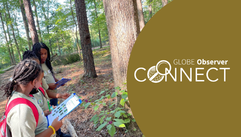 Three girls dressed in matching camp T-shirts hold a data collection sheet on a clipboard and pencils. They are looking at a tree in an open forest. Words overlaid on the image read GLOBE Observer Connect.