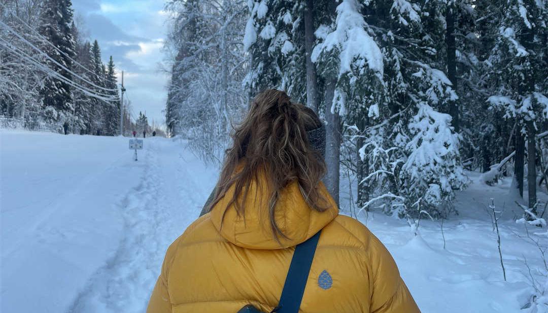 A person from the back walking along a snowy path in the woods.