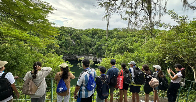 people looking at a landscape of trees