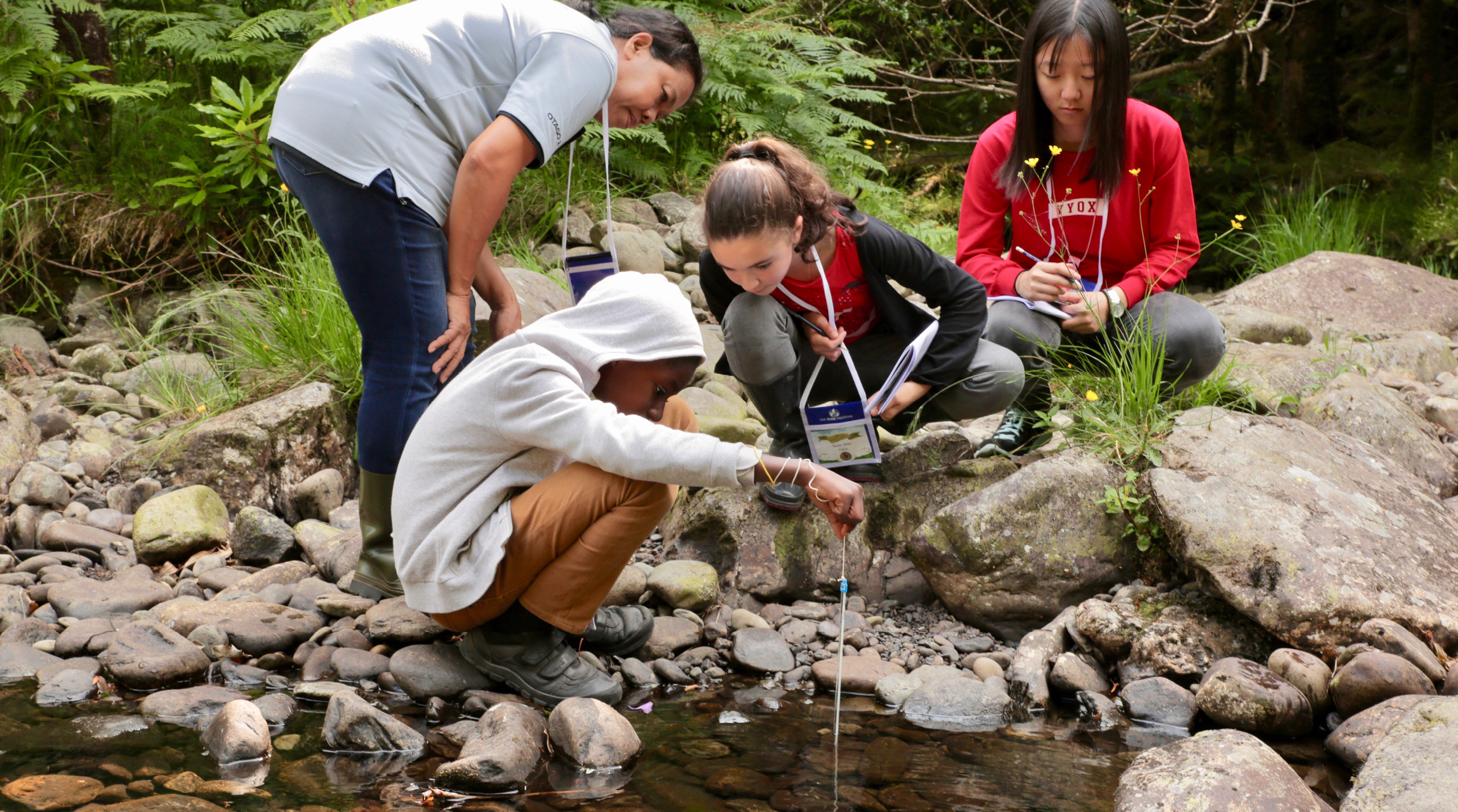 Students taking water quality measurements in a stream