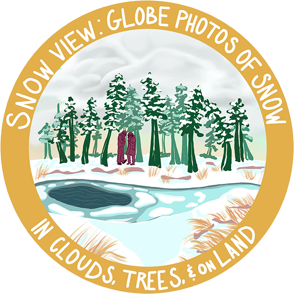 Snow View IOP Badge