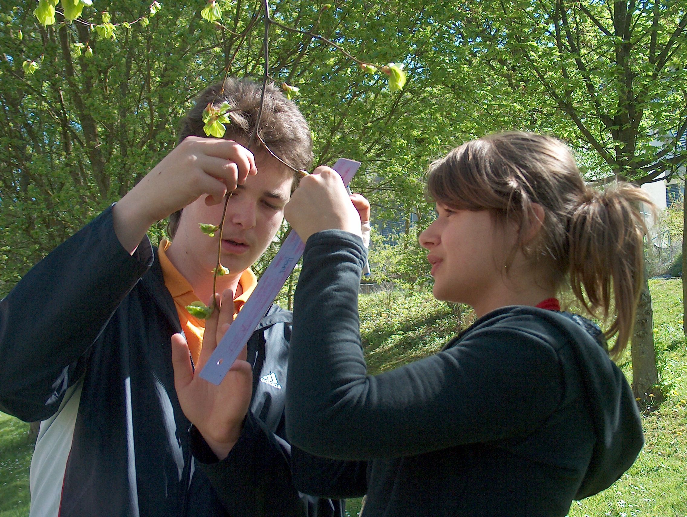 Students taking measurements of Green-up