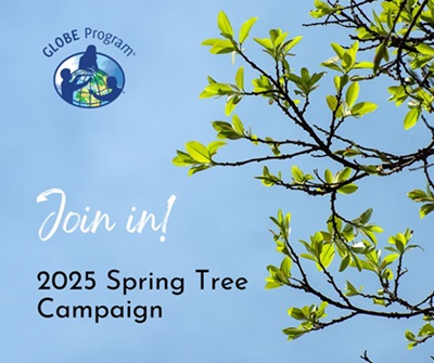 2025 Spring Tree (Phenology) Campaign