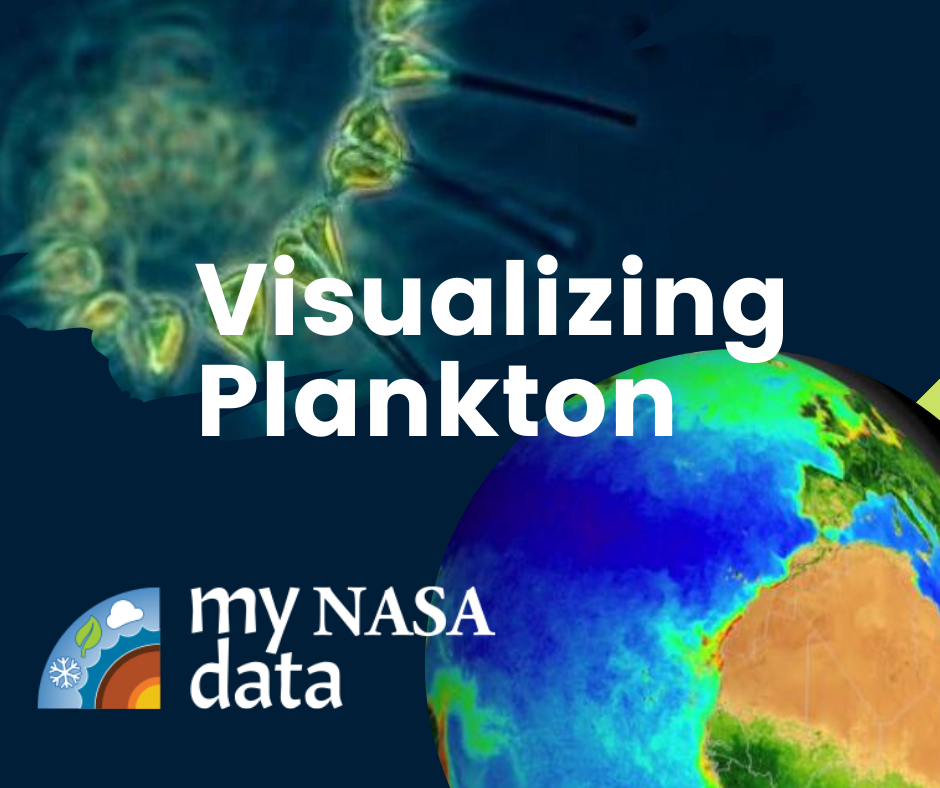 Visualizing Plankton Image