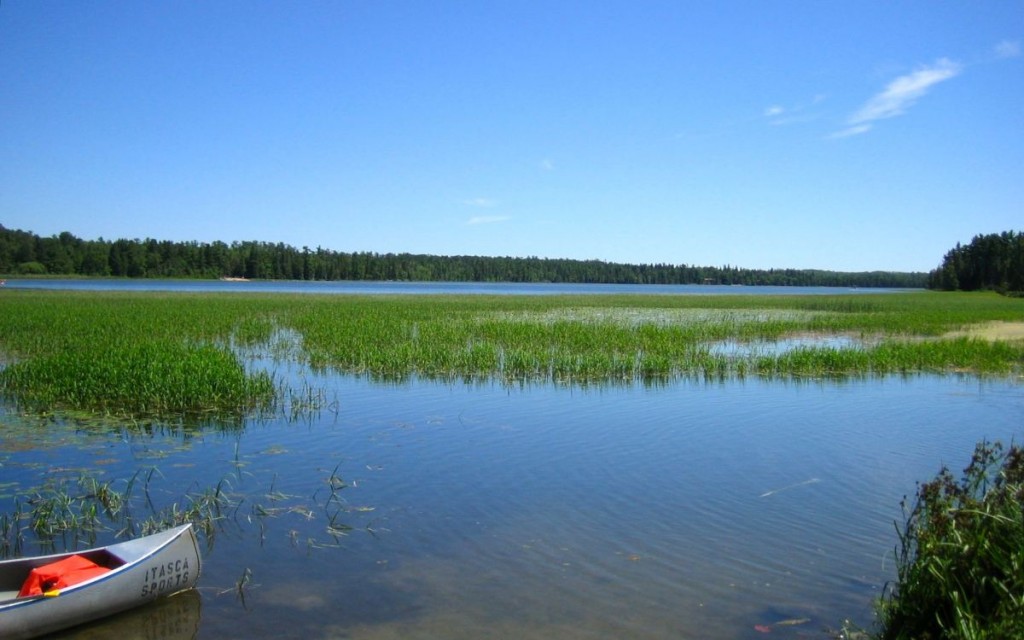 A look at Lake Itasca.  From gallivance.net
